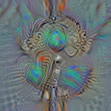 n02865351 bolo tie, bolo, bola tie, bola
